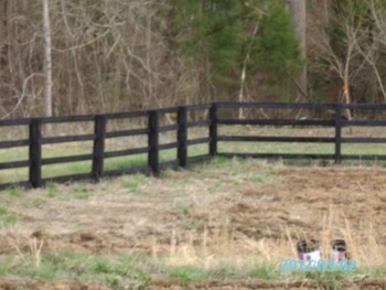 After Fence Staining in Huntersville NC
